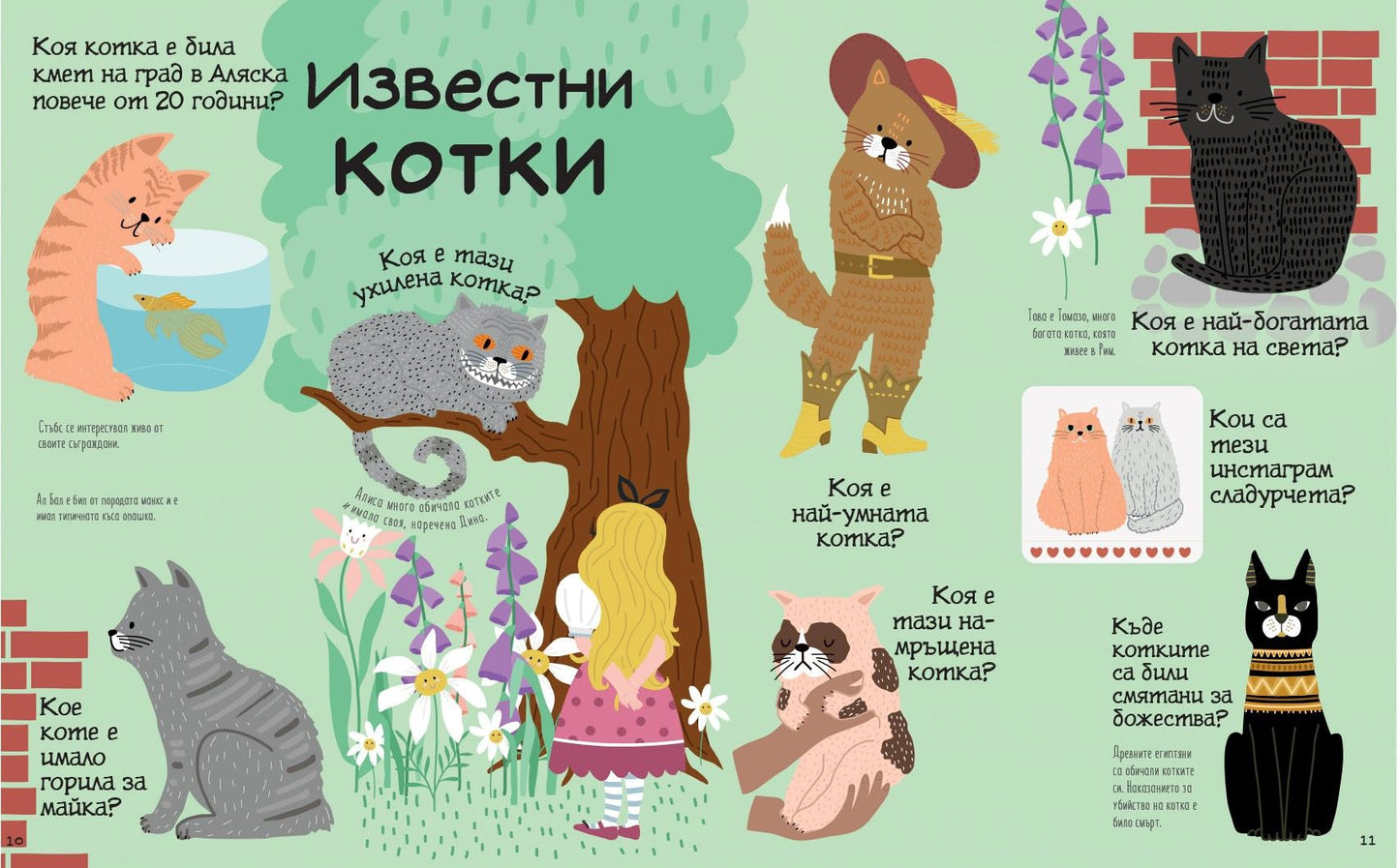 Обичам котките