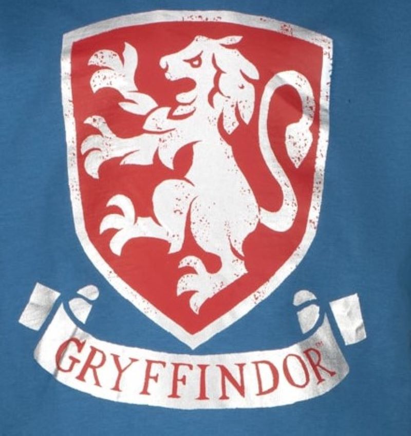 Блуза с дълъг ръкав Harry Potter Gryffindor Blue, размер 110