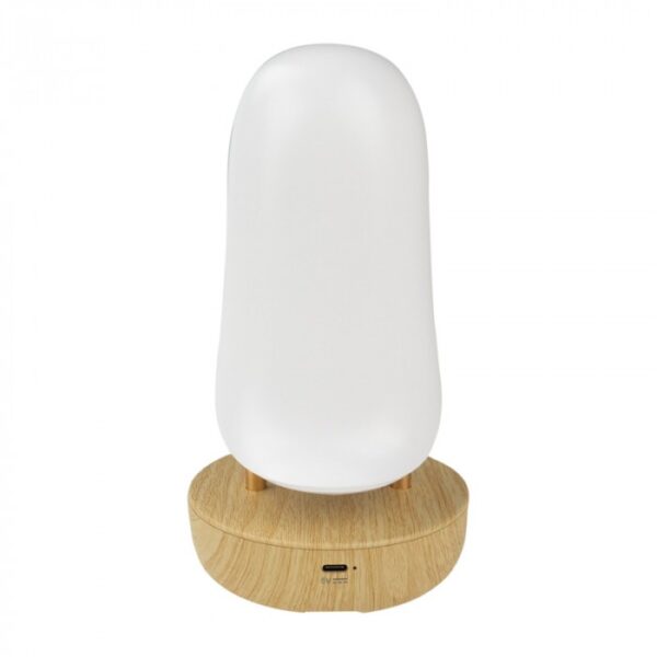 Детска нощна лампа и с Bluetooth колонка LED MARY’S Папагал