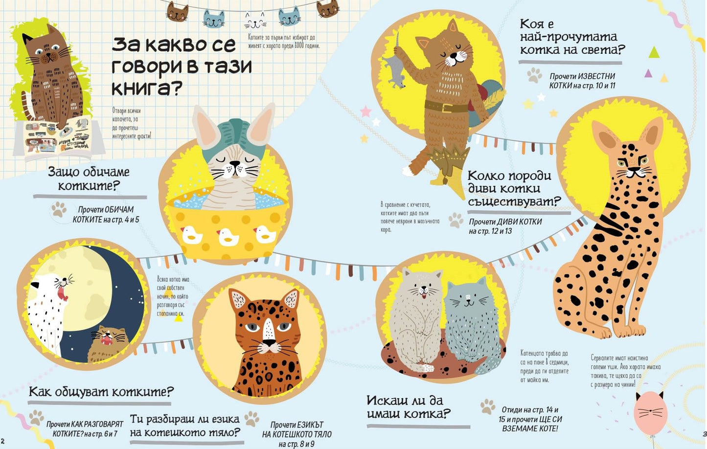 Обичам котките