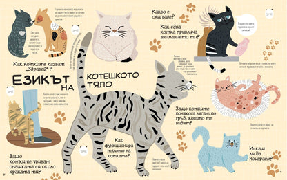 Обичам котките