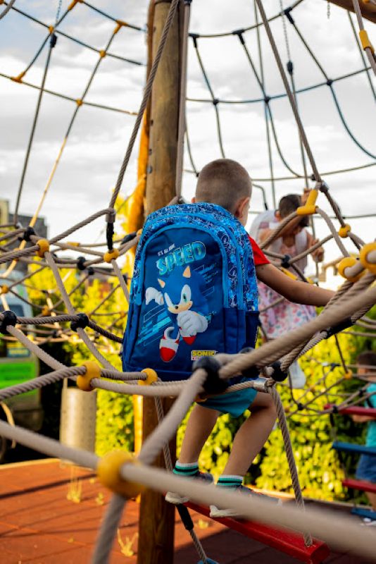 Ученическа раница Sonic Speed