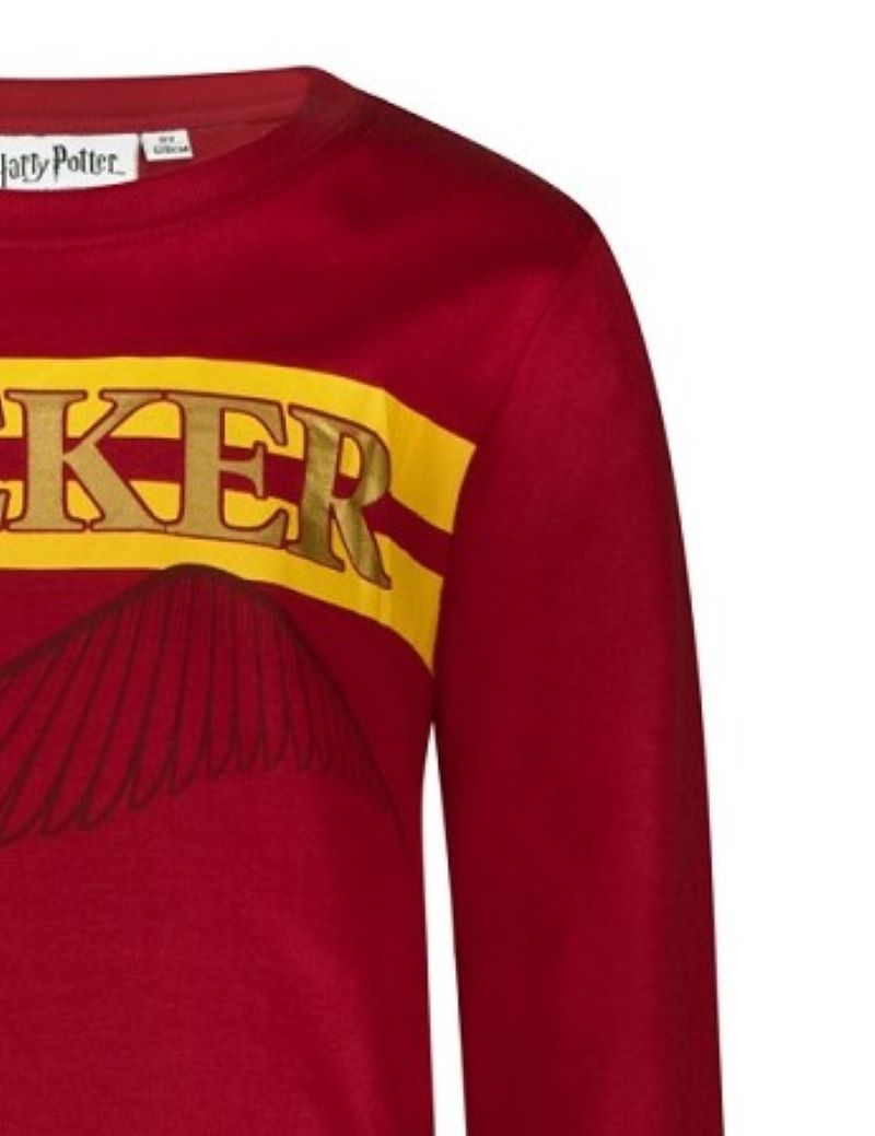 Блуза Harry Potter Seeker Red, размер 152