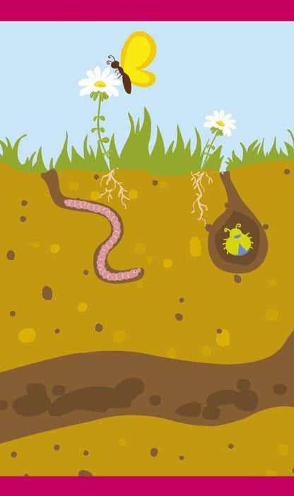 Къде живеят животните