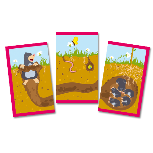 Къде живеят животните