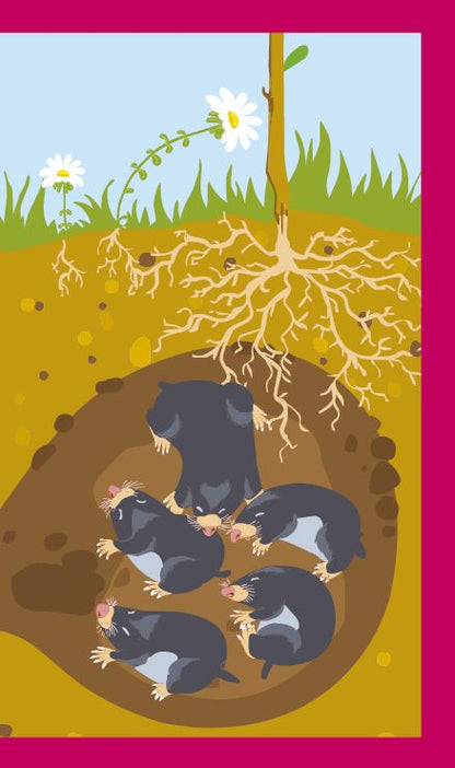 Къде живеят животните