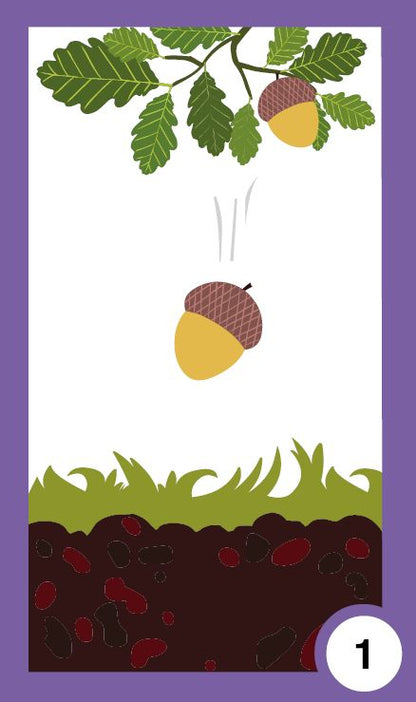 Всички растем - жизнени цикли