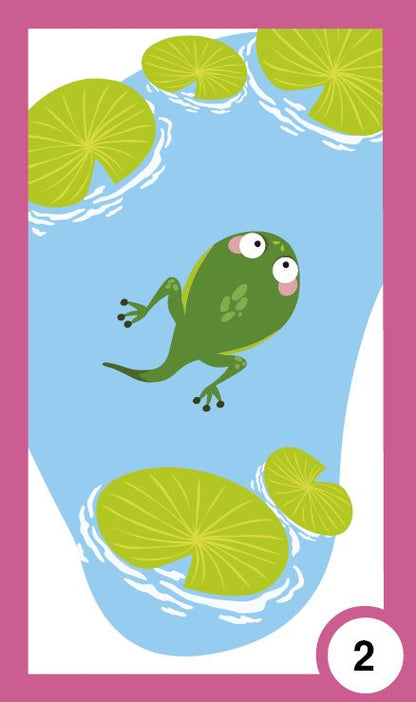 Всички растем - жизнени цикли