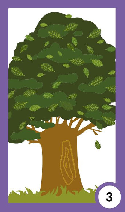 Всички растем - жизнени цикли