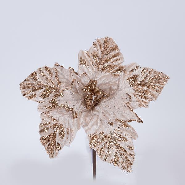 Eurolamp Коледна звезда, шампанско с бели тичинки