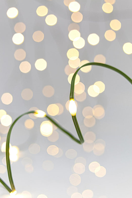 ЛАМПИЧКИ, 200 LED, 31V С 8 ФУНКЦИИ, ЗЕЛ.КАБЕЛ,WW,ЗАХР.КАБЕЛ5М, IP44