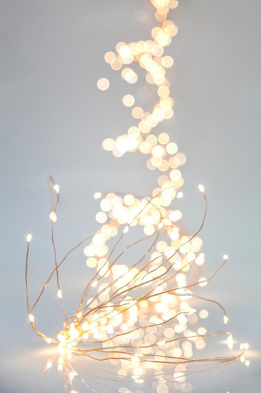 ЛАМПИЧКИ МРЕЖА ЗА ЕЛХА,400 LED,4.5V АДАПТОР,WW,ЗАХР.КАБЕЛ 5m, IP44