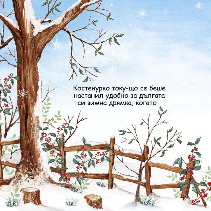 Шумна зимна дрямка