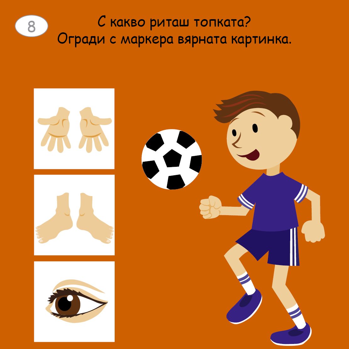 Малки активни карти за ЧОВЕШКОТО ТЯЛО - Ново, подобрено издание!