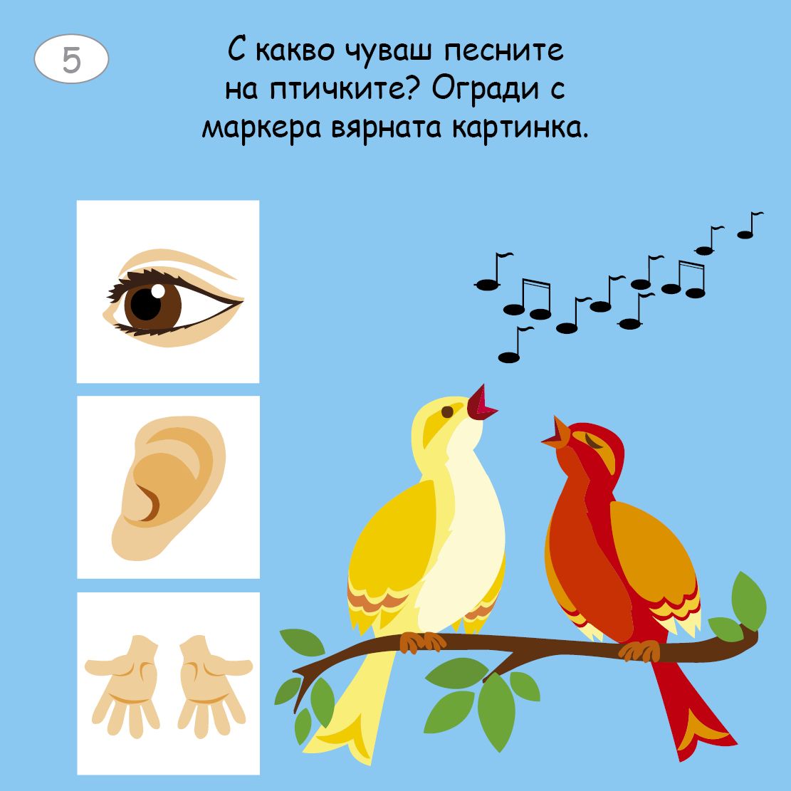 Малки активни карти за ЧОВЕШКОТО ТЯЛО - Ново, подобрено издание!