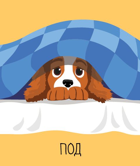 Мемори карти: Къде съм?