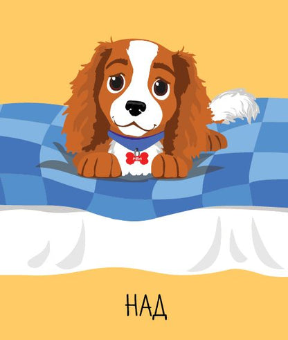 Мемори карти: Къде съм?