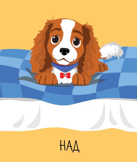 Мемори карти: Къде съм?