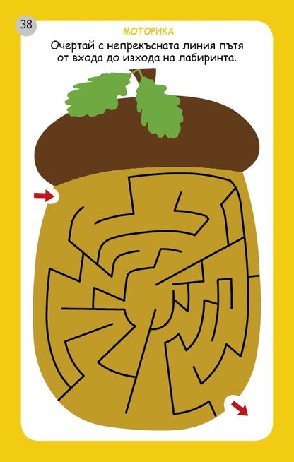 Моторика, наблюдателност, асоциация