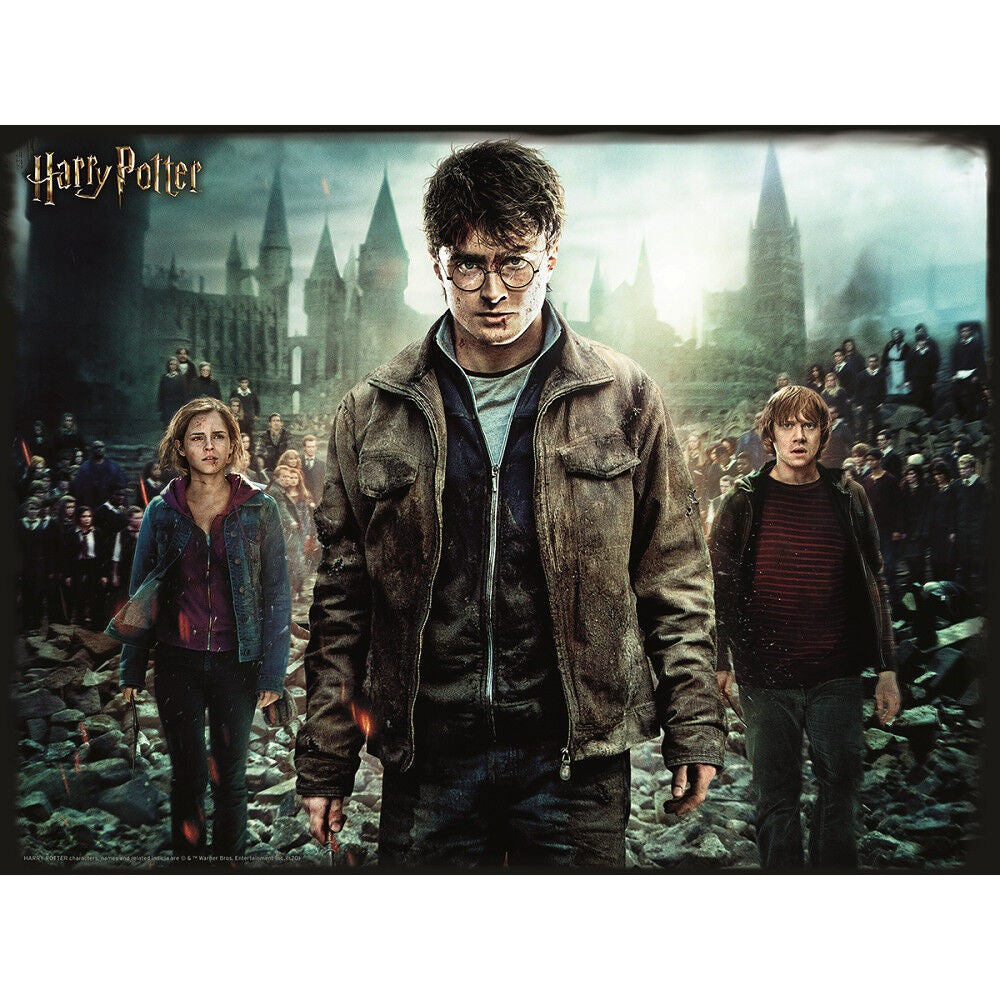 3D пъзел Harry Potter, Hermione and Rone 500 части