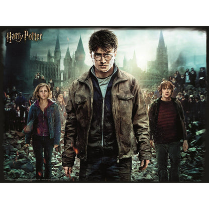 3D пъзел Harry Potter, Hermione and Rone 500 части