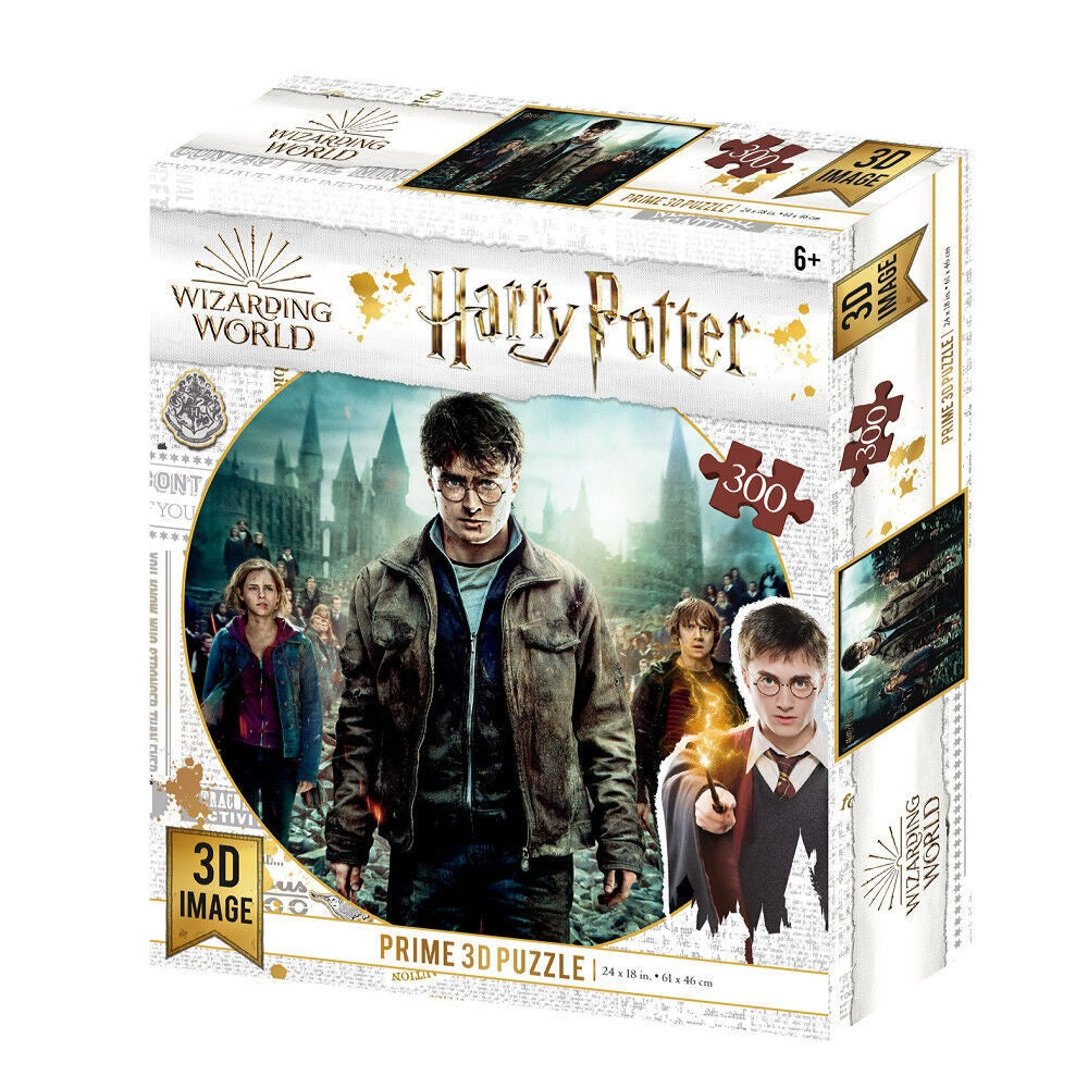 3D пъзел Harry Potter, Hermione and Rone 500 части