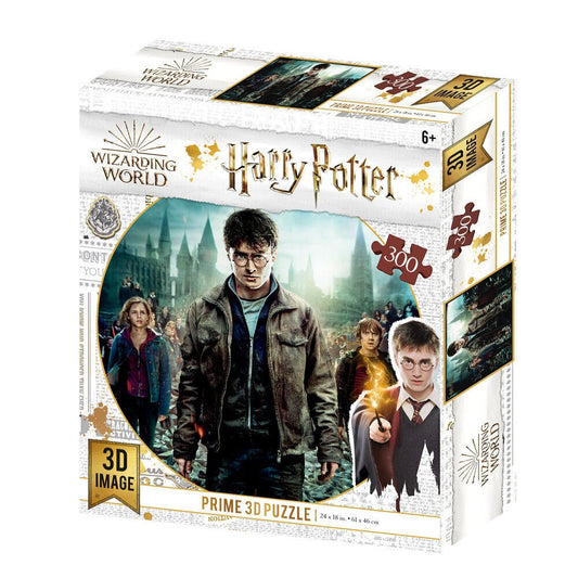 3D пъзел Harry Potter, Hermione and Rone 500 части