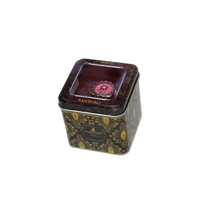 Ръчен часовник Santoro Gorjuss в метална кутия Ladybird